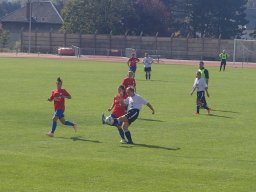 Seniors Féminines